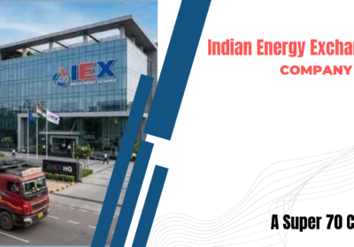 Indian Energy Exchange (IEX) company profile covering power trading, renewable energy markets, financial performance and business growth.