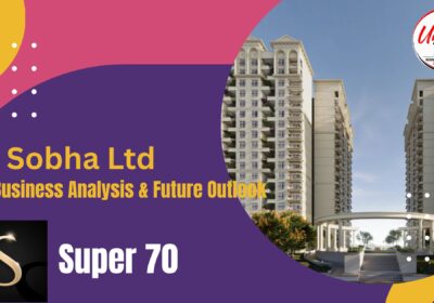Sobha Ltd business analysis covering financial performance, growth opportunities, potential risks and future outlook.